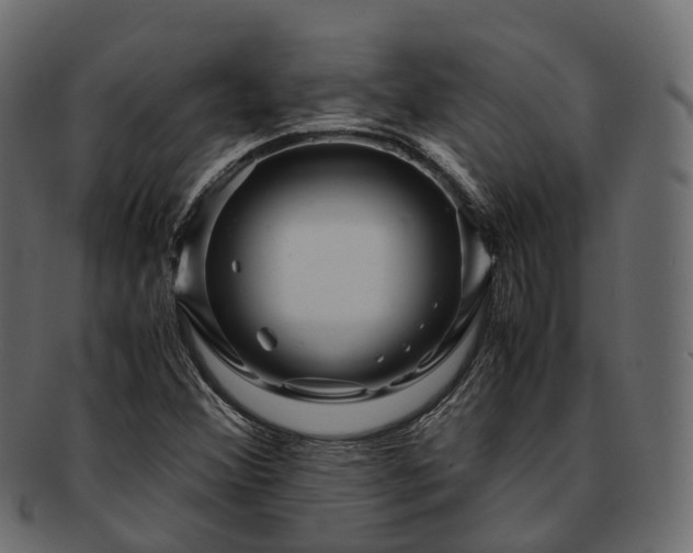 X0000093231356200710031450