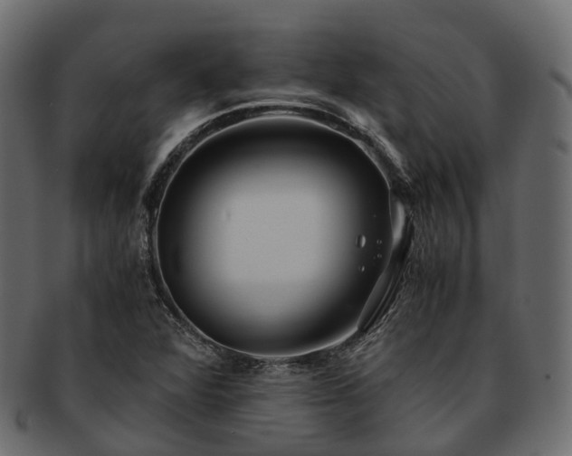 X0000093231360200710031450