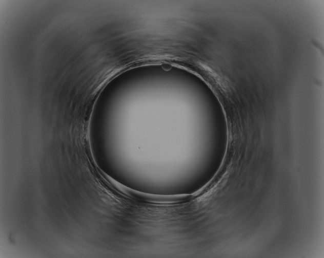 X0000093231361200710031450