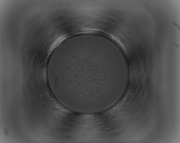 X0000093231362200710031450