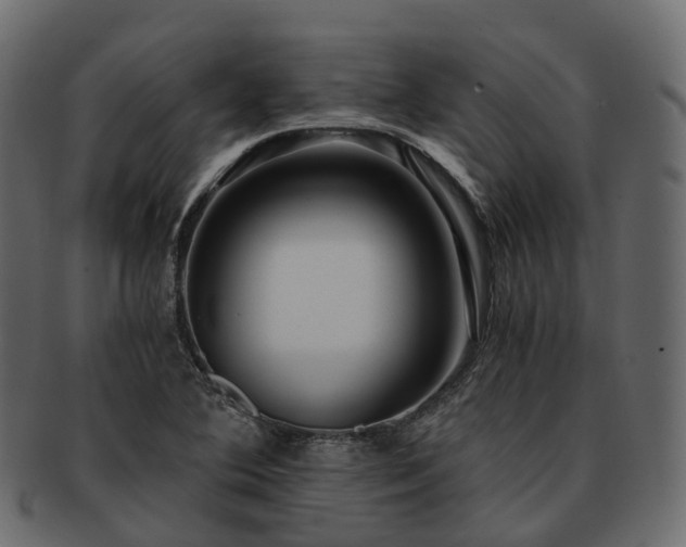 X0000093231364200710031450