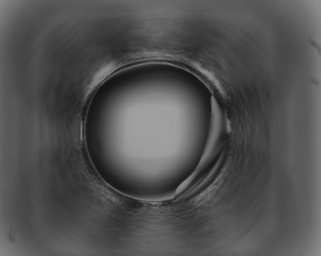 X0000093231365200710031450