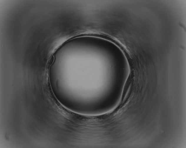 X0000093231367200710031450