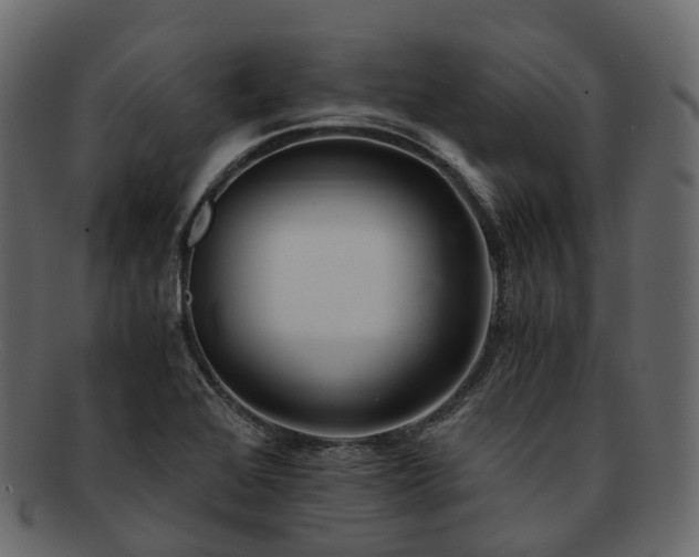 X0000093231368200710031450