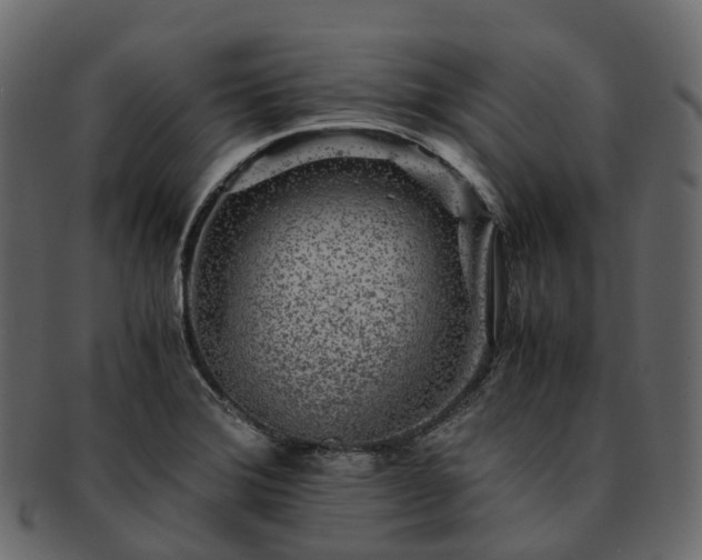 X0000093231372200710031450