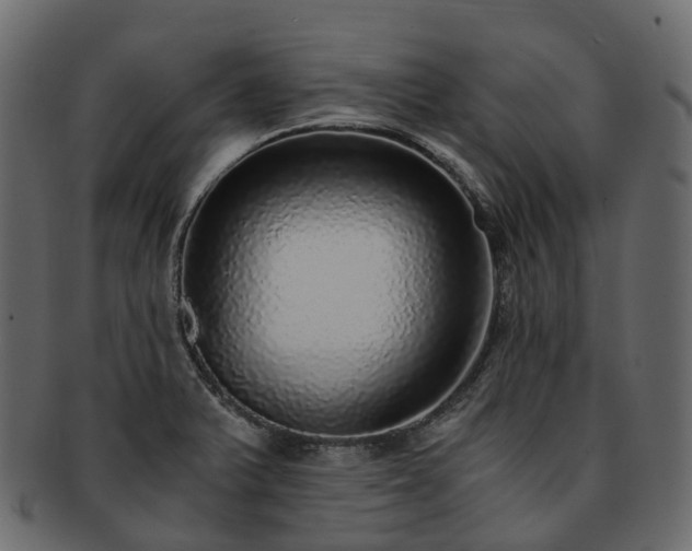 X0000093231375200710031450