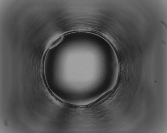 X0000093231379200710031450