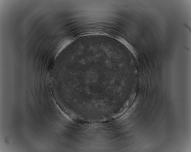 X0000093231385200710031450