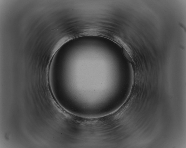 X0000093231386200710031450