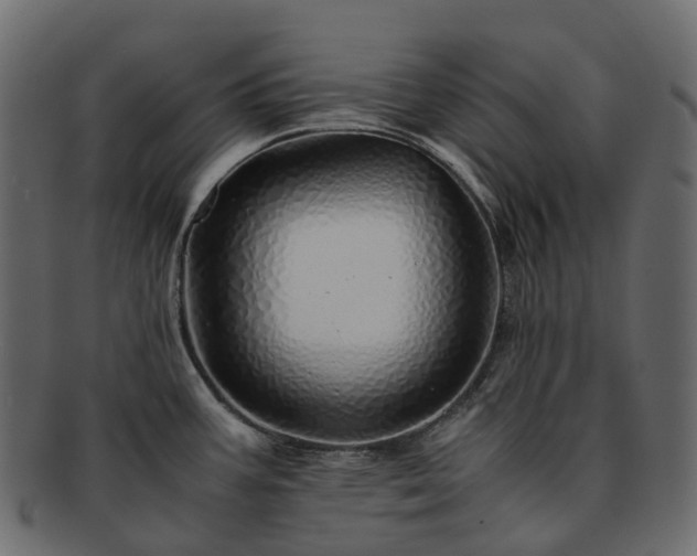 X0000093231387200710031450