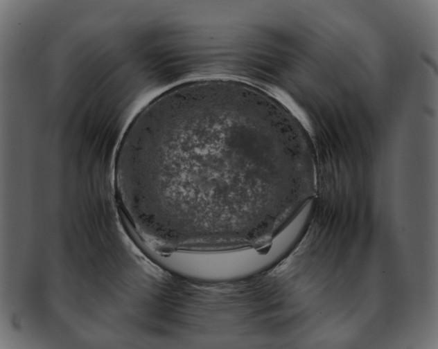X0000093231388200710031450