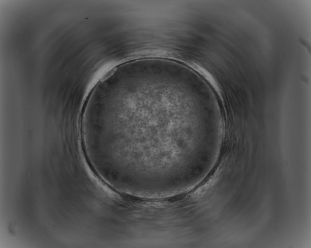 X0000093231389200710031450