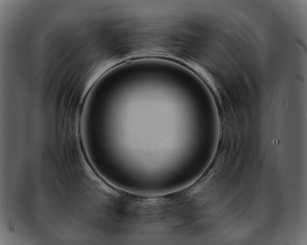 X0000093231390200710031450
