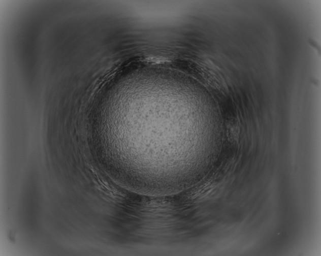 X0000093231393200710031449