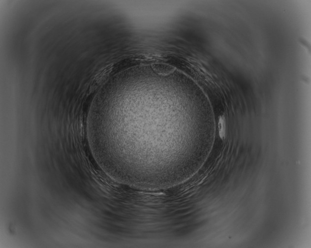 X0000093231395200710031449