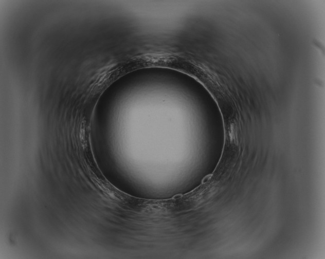 X0000093231396200710031449