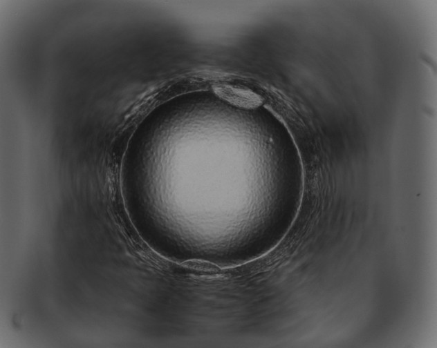 X0000093231397200710031449