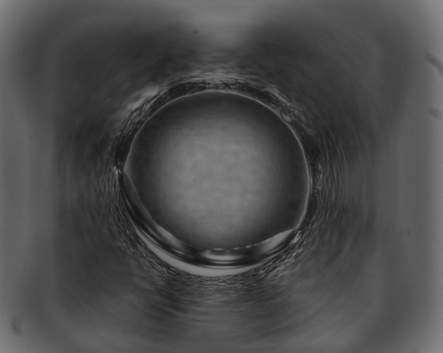 X0000093231398200710031449