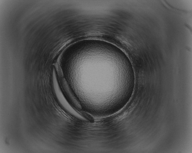 X0000093231401200710031449