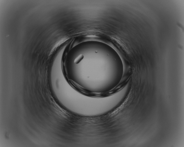 X0000093231402200710031449