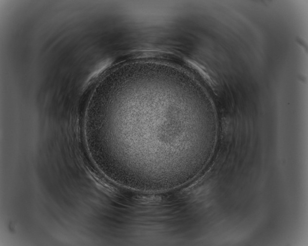 X0000093231403200710031449