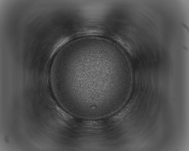 X0000093231405200710031449