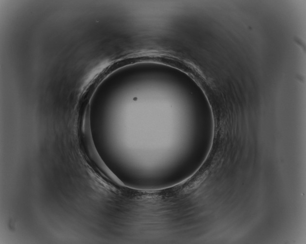 X0000093231406200710031449
