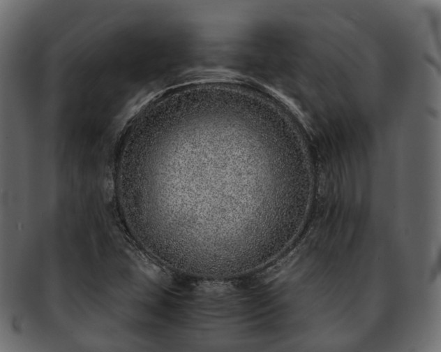 X0000093231407200710031449