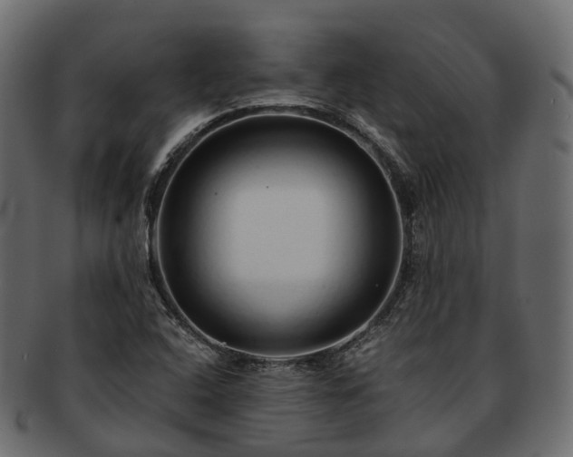 X0000093231408200710031450