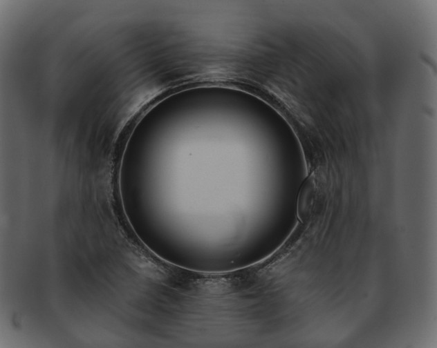 X0000093231410200710031450