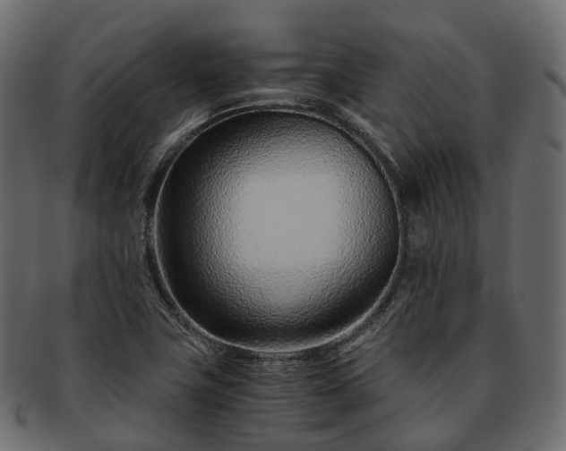 X0000093231411200710031450
