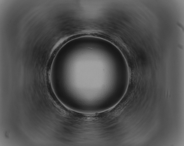 X0000093231412200710031450