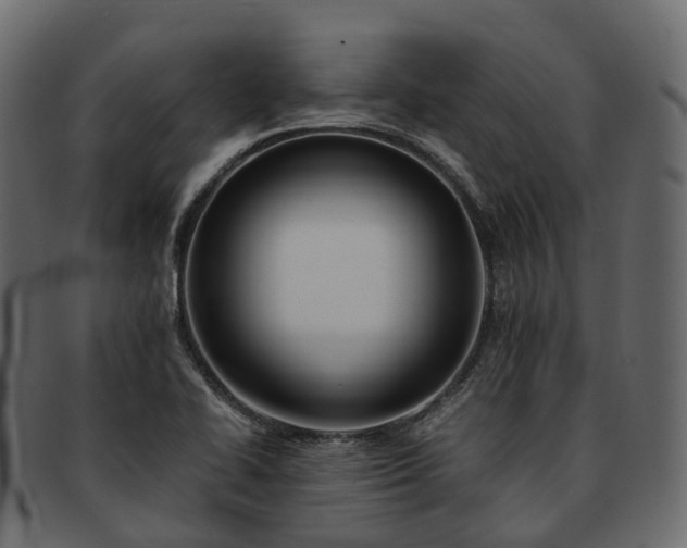 X0000093231414200710031450