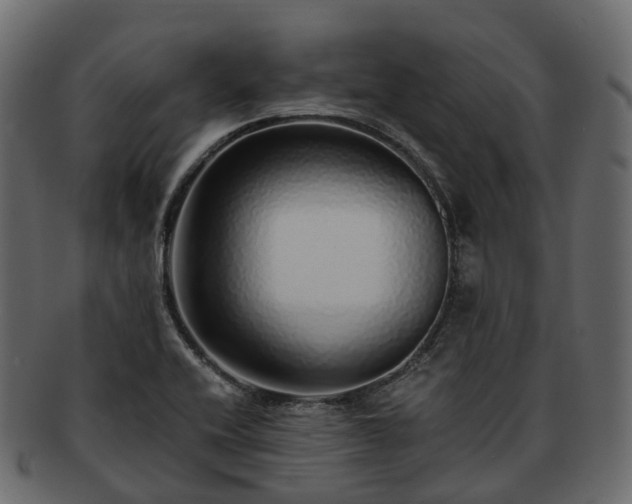 X0000093231416200710031450