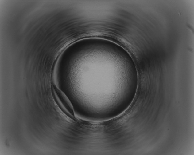 X0000093231417200710031450