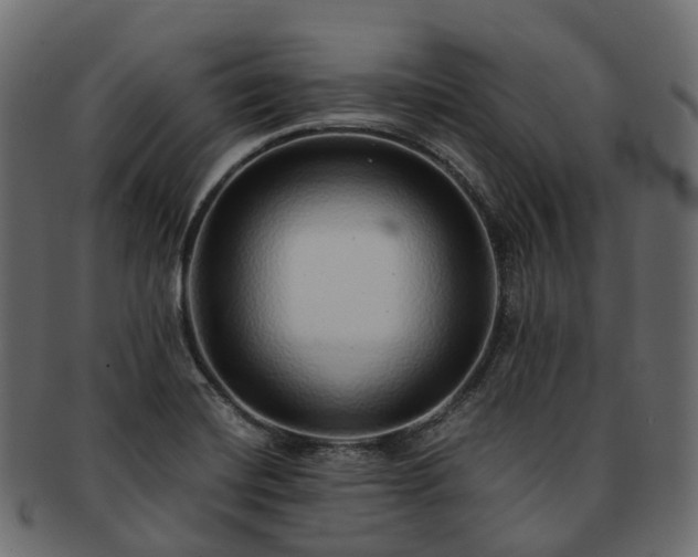 X0000093231420200710031450