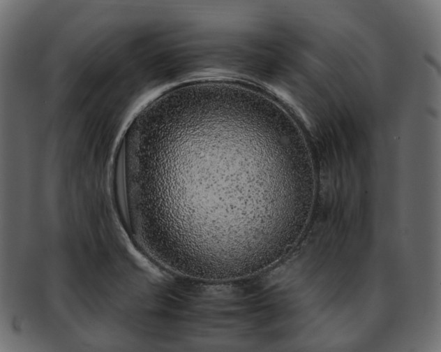 X0000093231421200710031450