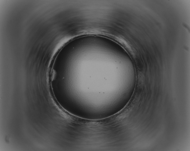 X0000093231424200710031450