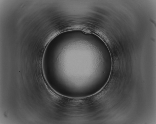 X0000093231425200710031450