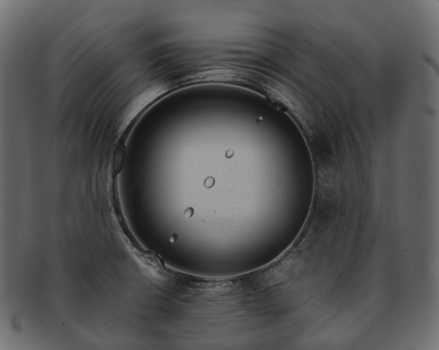 X0000093231426200710031450