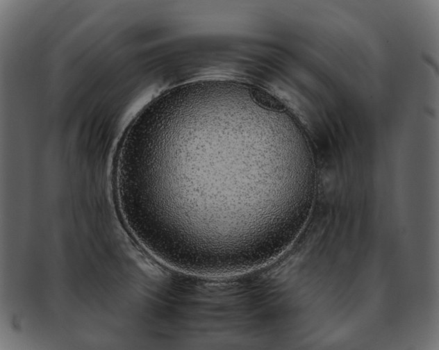 X0000093231427200710031450