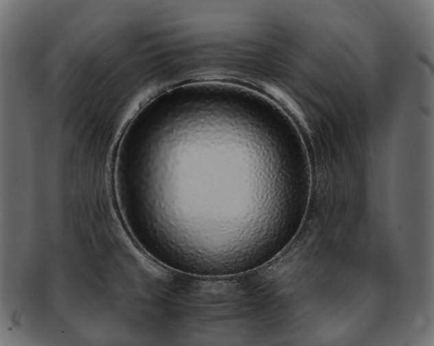 X0000093231429200710031450