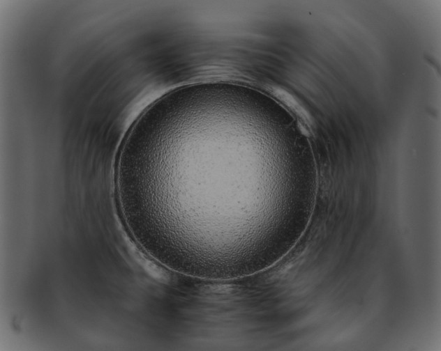 X0000093231431200710031450