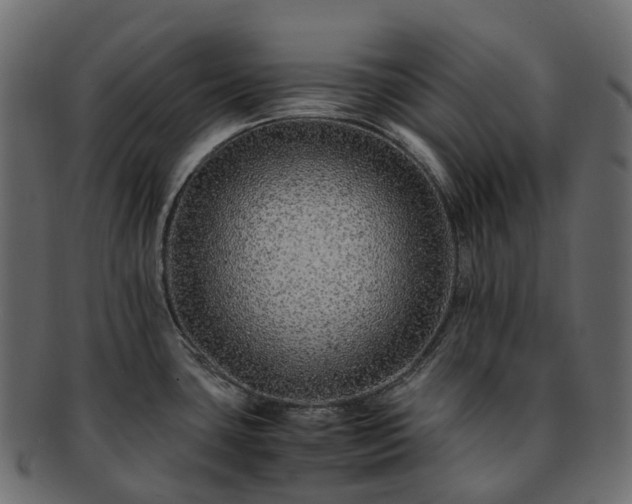 X0000093231435200710031450