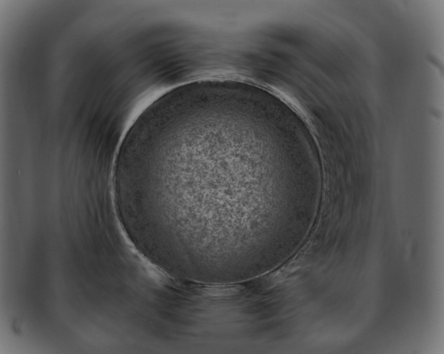 X0000093231440200710031450