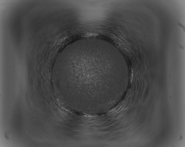 X0000093231441200710031449