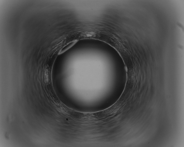 X0000093231442200710031449