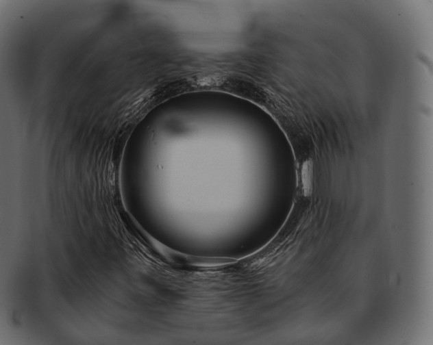 X0000093231443200710031449