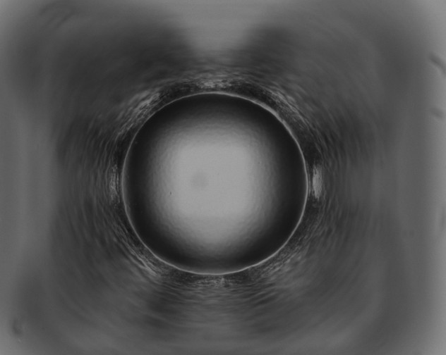 X0000093231444200710031449