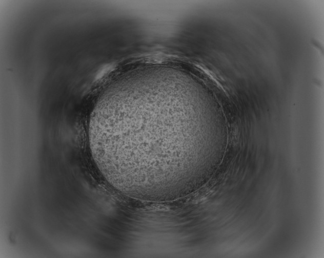 X0000093231446200710031449